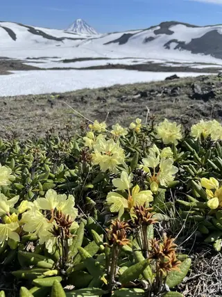 Вулкан Горелый — фото 4